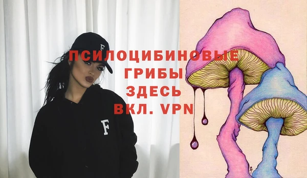 гашик Алзамай
