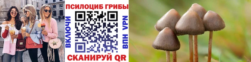 Галлюциногенные грибы GOLDEN TEACHER Воронеж